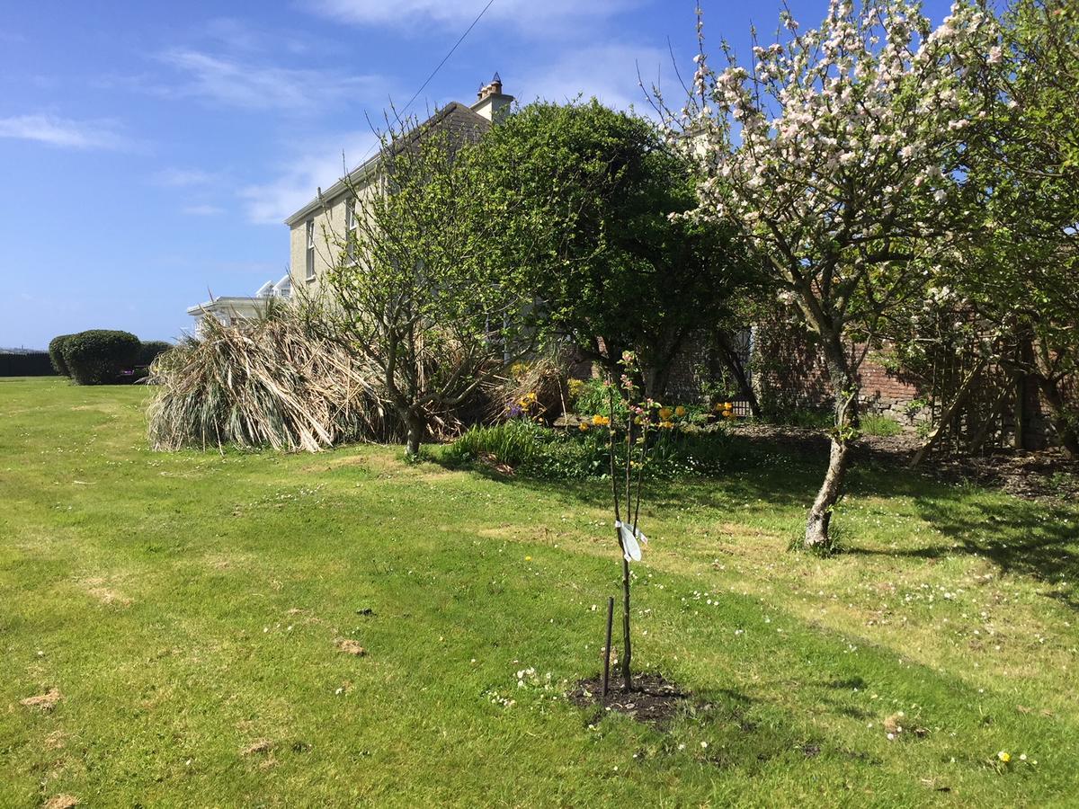 Berry Lodge Country House Spanish Point Bagian luar foto